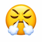 damn emoji