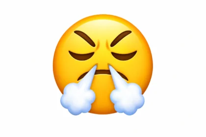 damn emoji